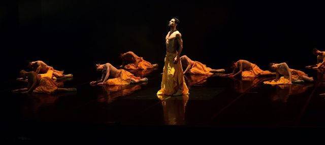 © Philippe_Escalier_DSC_RD 2