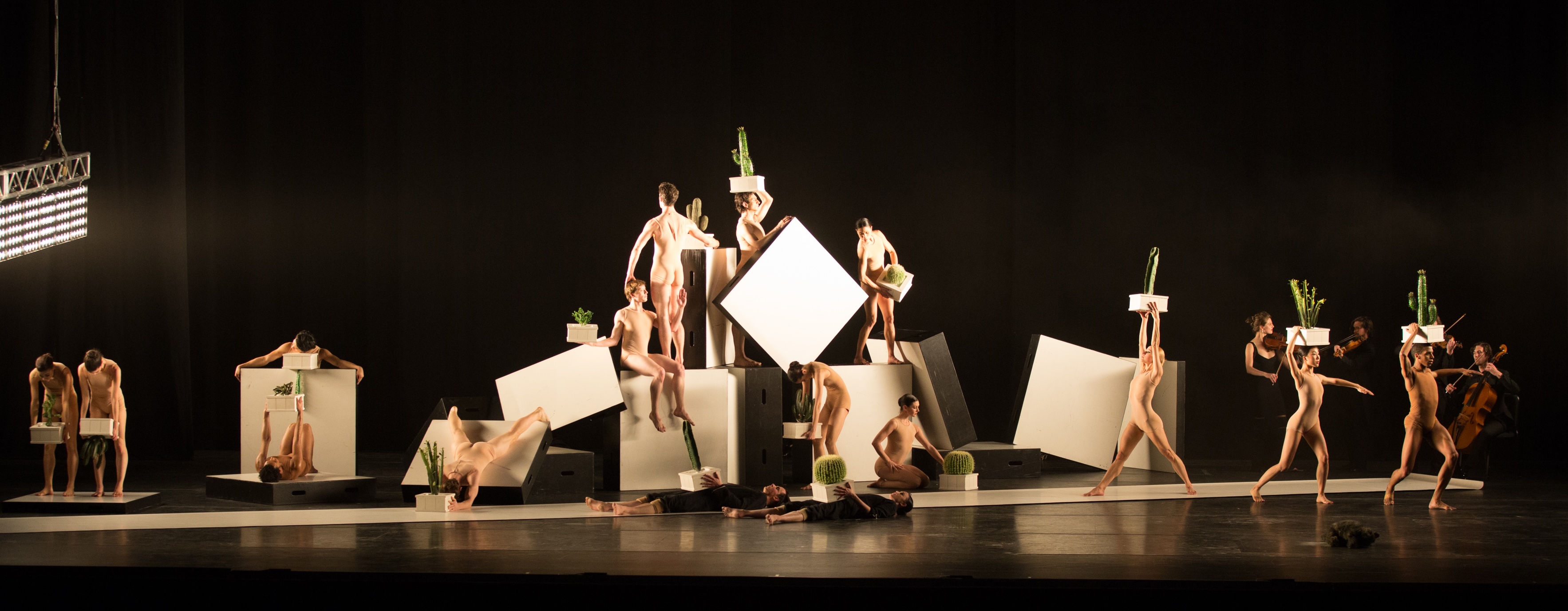 Cacti et Vertical Road par le Boston Ballet